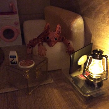 Обрастаем мебелью и котами