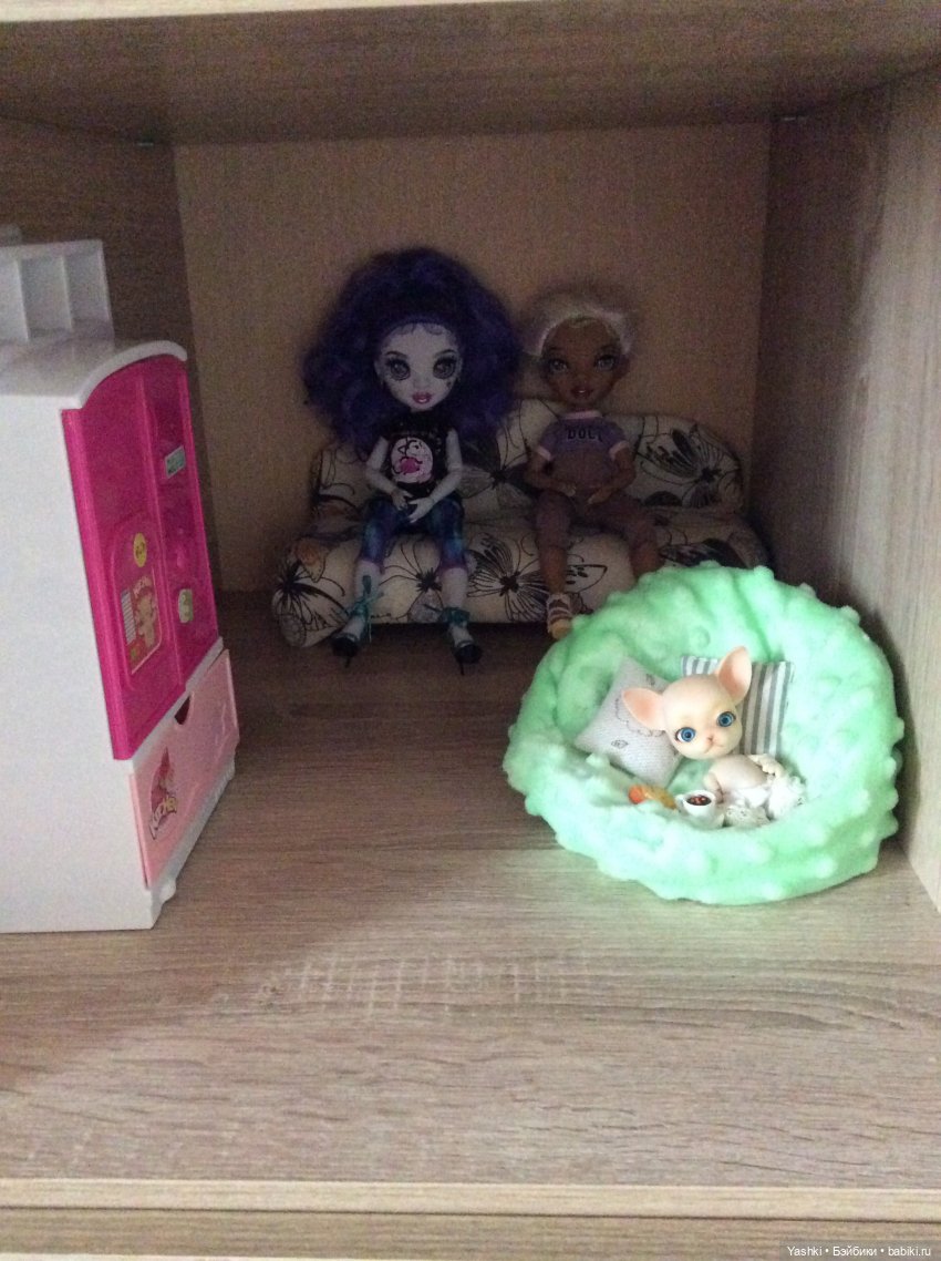 Новенькие и наша обычная жизнь