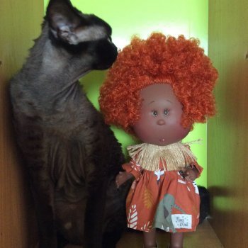 Открытие Булочной🥐🥨🍪