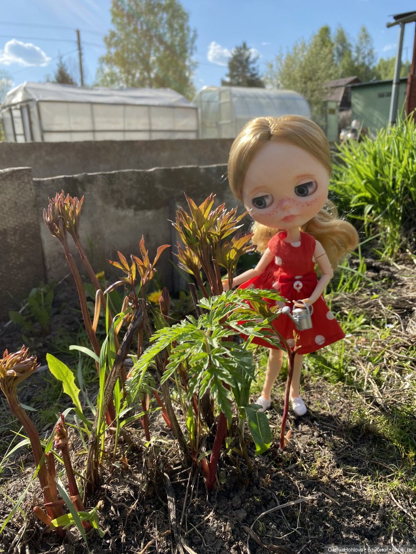 Открыли дачный сезон 😊 — Домашние фото авторских кукол: личные коллекции (фото 5)