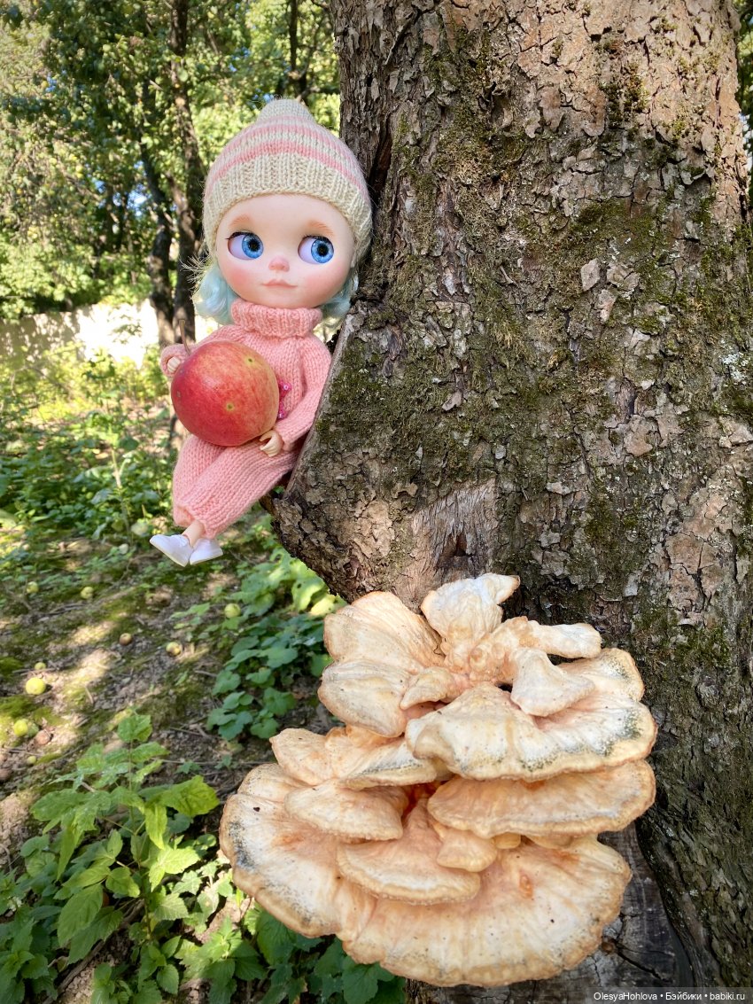 Прогулки с куклой 🥰 — Куклы Blythe (Блайз) ООАК: кастом (фото 2)