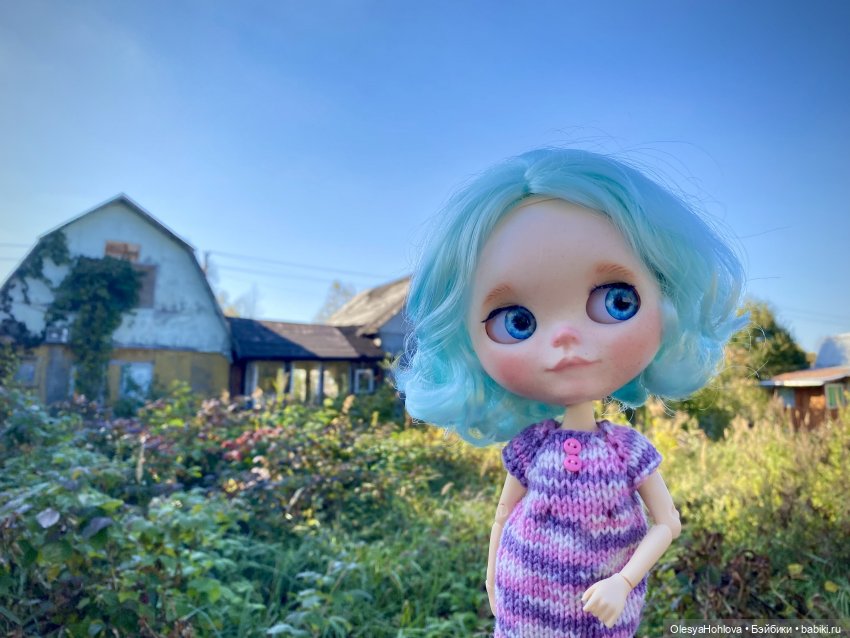 Загадочные домики — Куклы Blythe (Блайз) ООАК: кастом (фото 4)