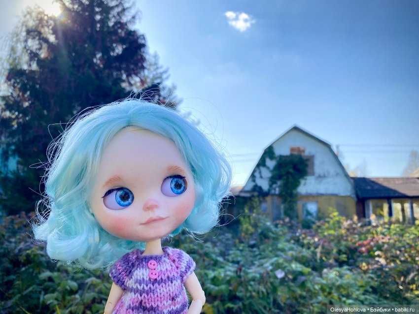 Загадочные домики — Куклы Blythe (Блайз) ООАК: кастом (фото 3)