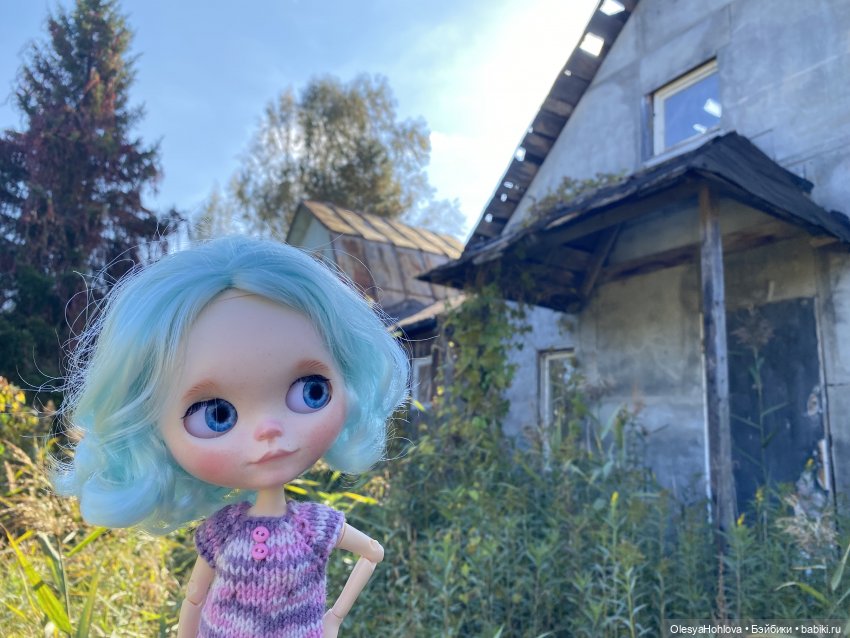 Загадочные домики — Куклы Blythe (Блайз) ООАК: кастом (фото 2)
