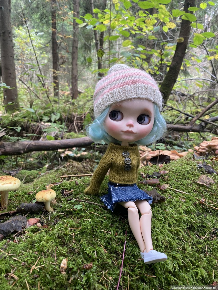Осень 🥰 — Куклы Blythe (Блайз) ООАК: кастом (фото 2)