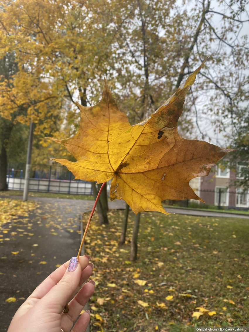 Осень 🍂 — Авторские шарнирные куклы своими руками: лепка (фото 5)