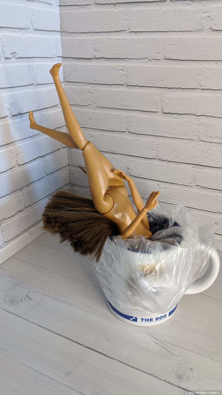 Обзор африканки Анлили и трудности гибридизации