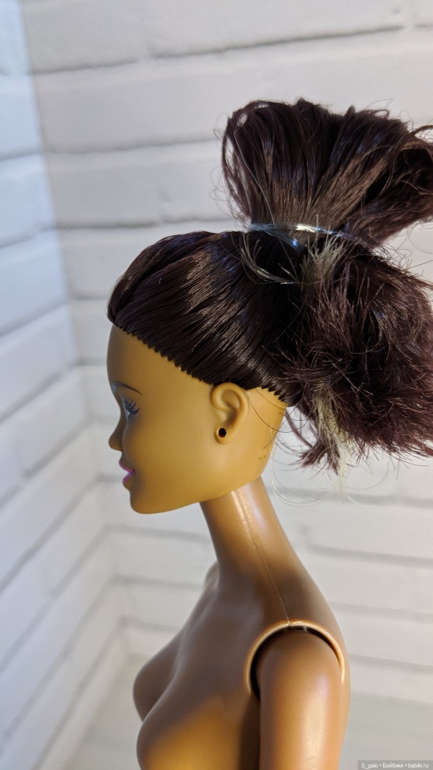 Обзор африканки Анлили и трудности гибридизации