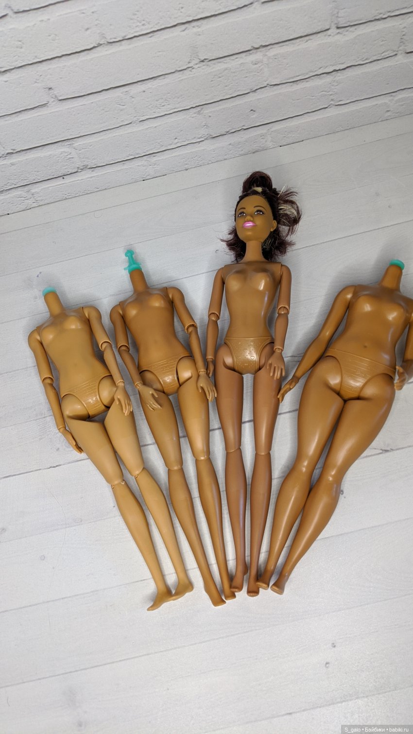 Обзор африканки Анлили и трудности гибридизации