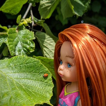 Рыжулька-2, псевдоПаола