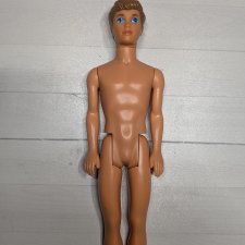 Кевин брат Кена, друг Скипер