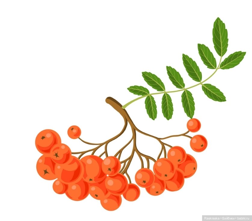 Подиумная Поппи Ну классная же - потому и поселилась Poppy Rowan Runway Series Rainbow High (фото 3)