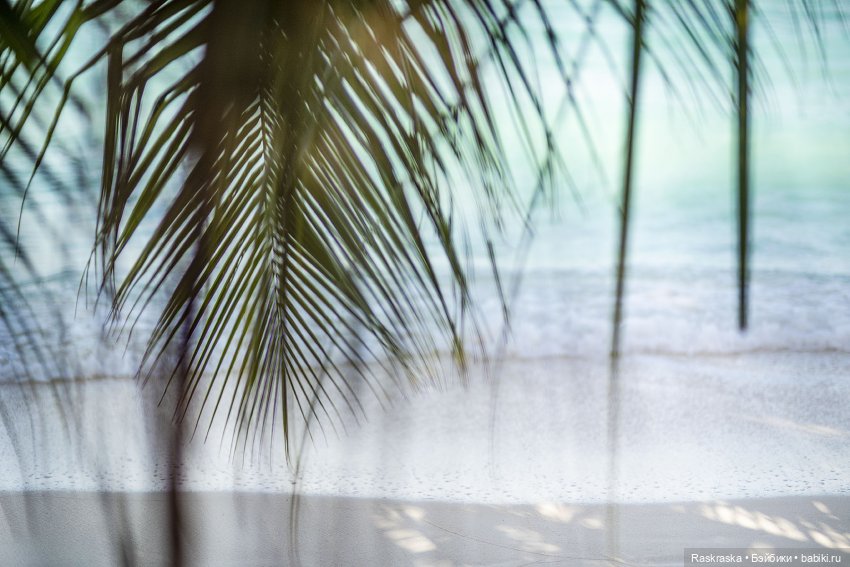 Летние фото на память часть 3 - надо же как-то переживать серость за окном (фото 5)