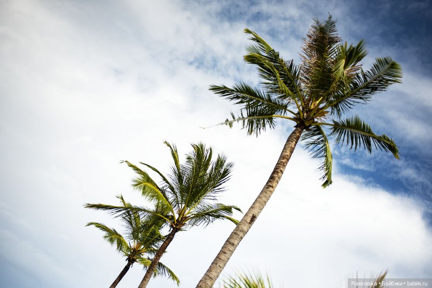 Летние фото на память часть 3 - надо же как-то переживать серость за окном