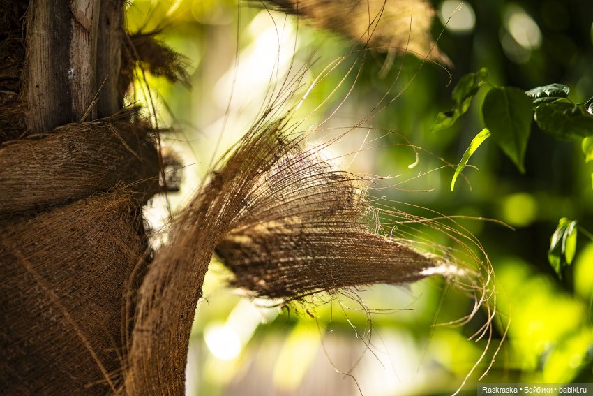 Летние фото на память часть 3 - надо же как-то переживать серость за окном