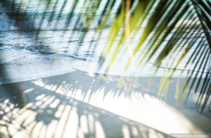 Летние фото на память часть 3 - надо же как-то переживать серость за окном (фото 7)