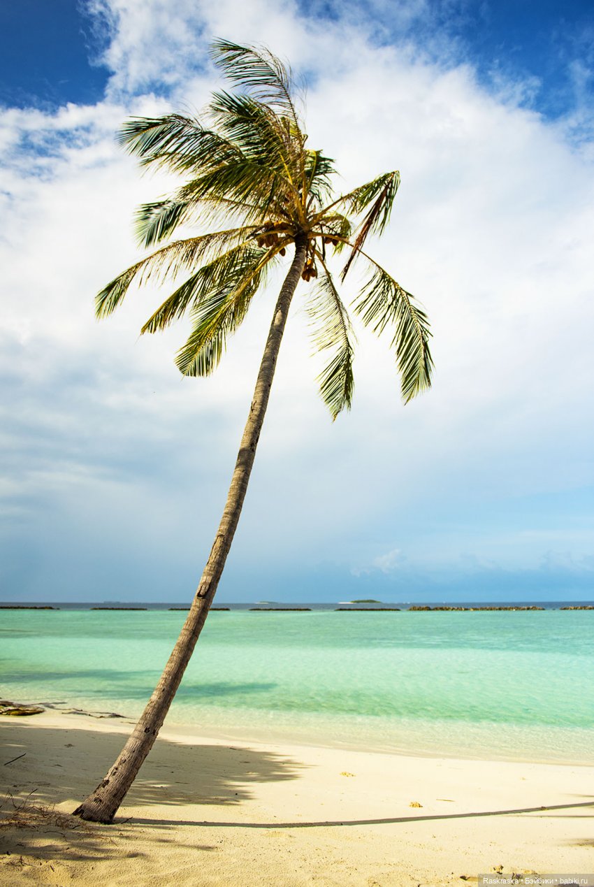 Летние фото на память часть 3 - надо же как-то переживать серость за окном