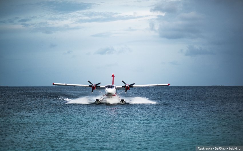 Летние фото на память часть 3 - надо же как-то переживать серость за окном