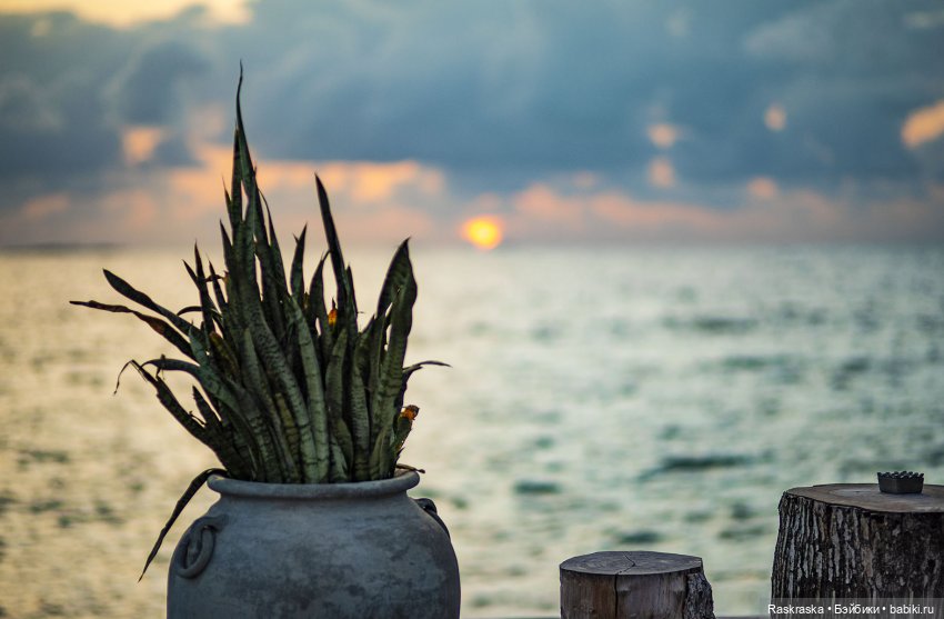 Летние фото на память часть 3 - надо же как-то переживать серость за окном