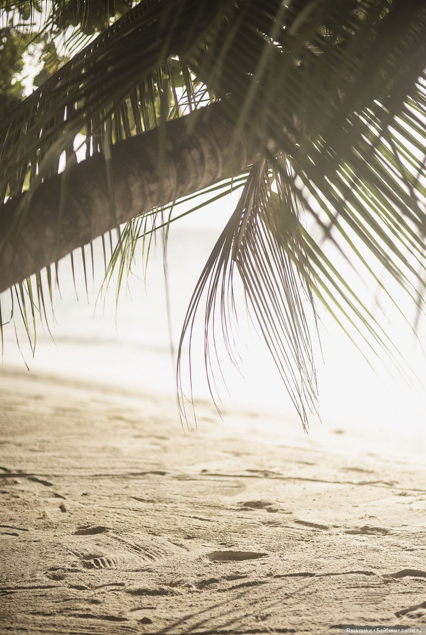 Летние фото на память часть 3 - надо же как-то переживать серость за окном (фото 4)