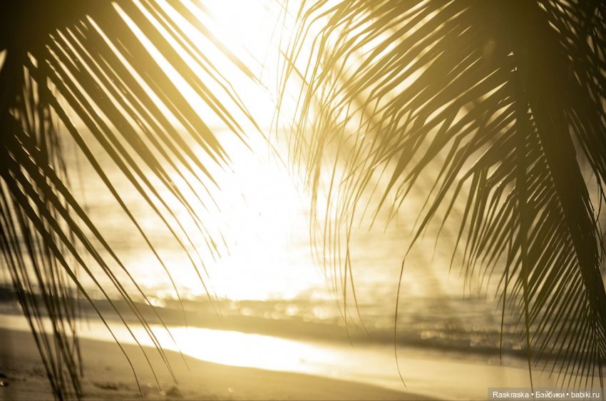 Летние фото на память часть 3 - надо же как-то переживать серость за окном (фото 6)