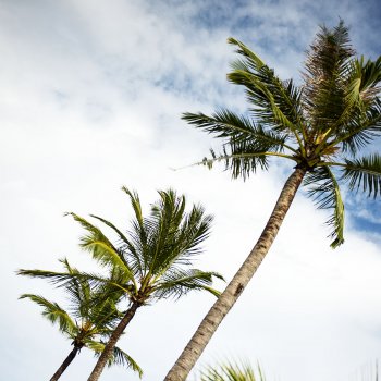 Летние фото на память часть 3 - надо же как-то переживать серость за окном