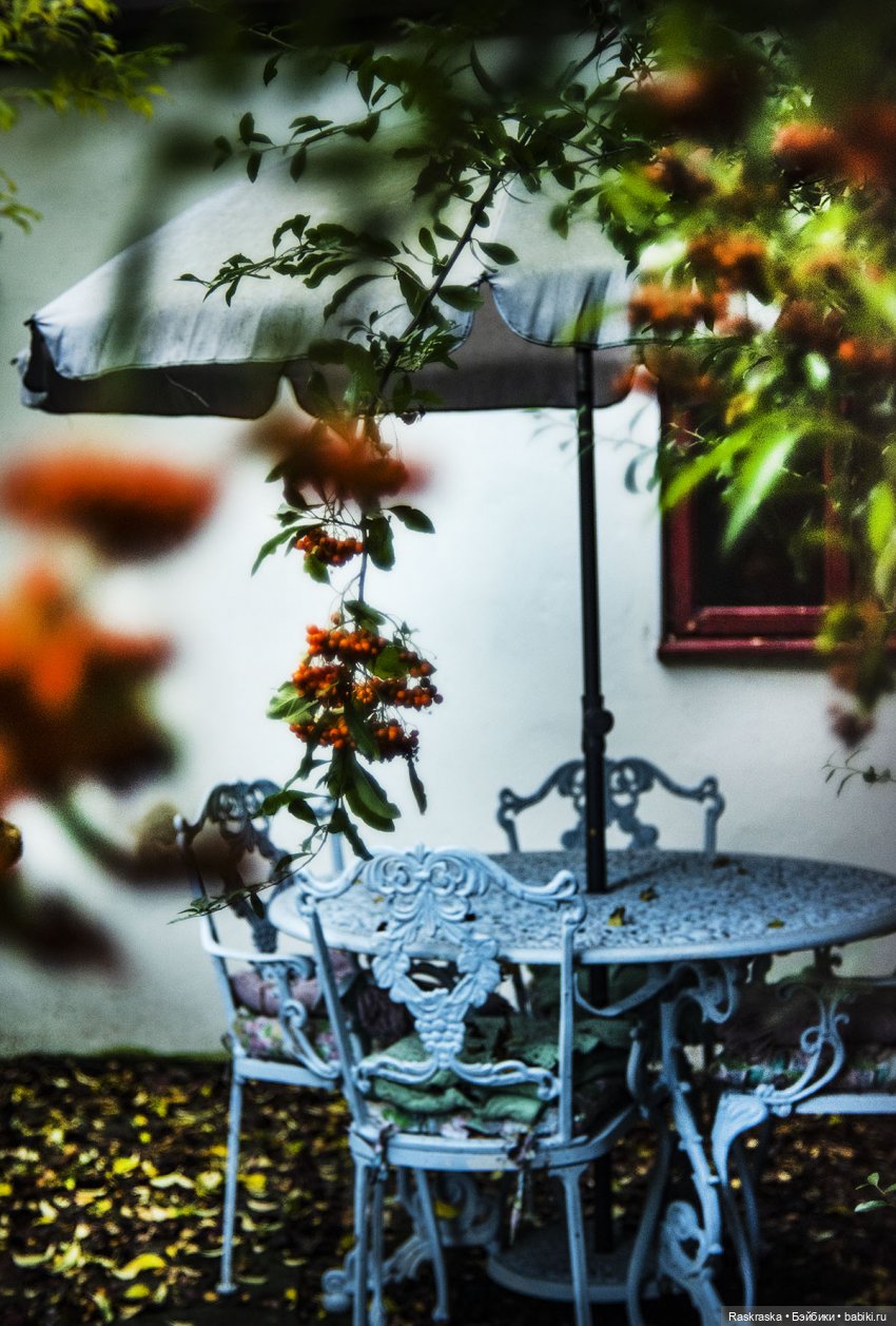 Lottie провожает осень | Бэйбики Lottie провожает осень — Куклы Lottie (Лотти): Arklu