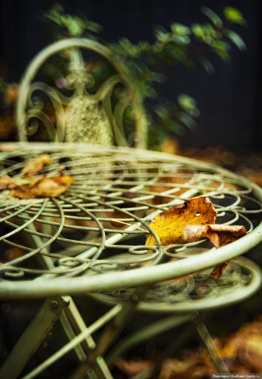 Lottie провожает осень | Бэйбики Lottie провожает осень — Куклы Lottie (Лотти): Arklu (фото 4)