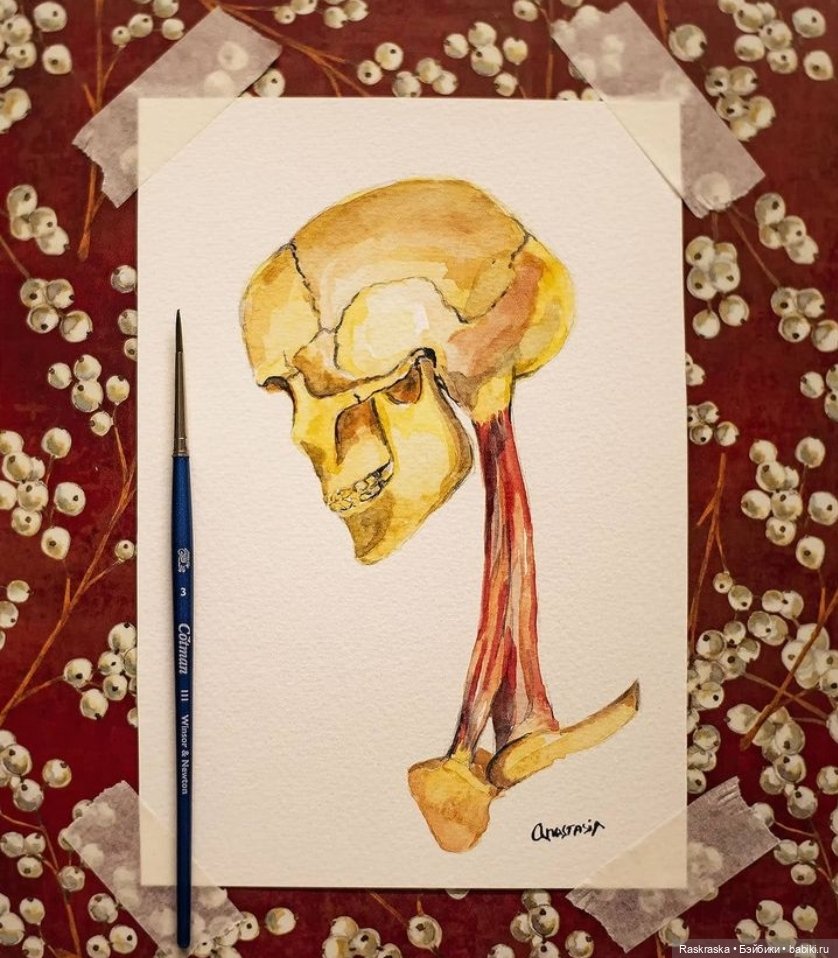 Мои картиночки рисуночки и разное изобразительное