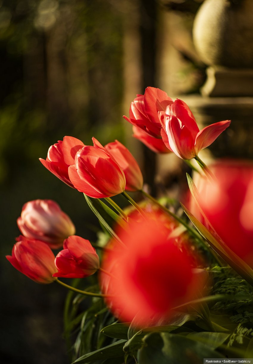 Новые ребята. Ever After High (фото 6)