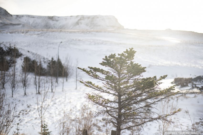 Ледяная Царица всея Исландии ❄️ (часть номер один)