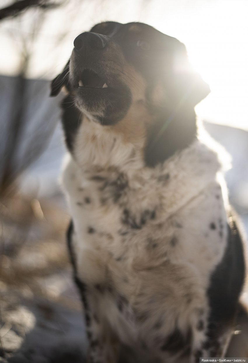 Ледяная Царица всея Исландии ❄️ (часть номер один)
