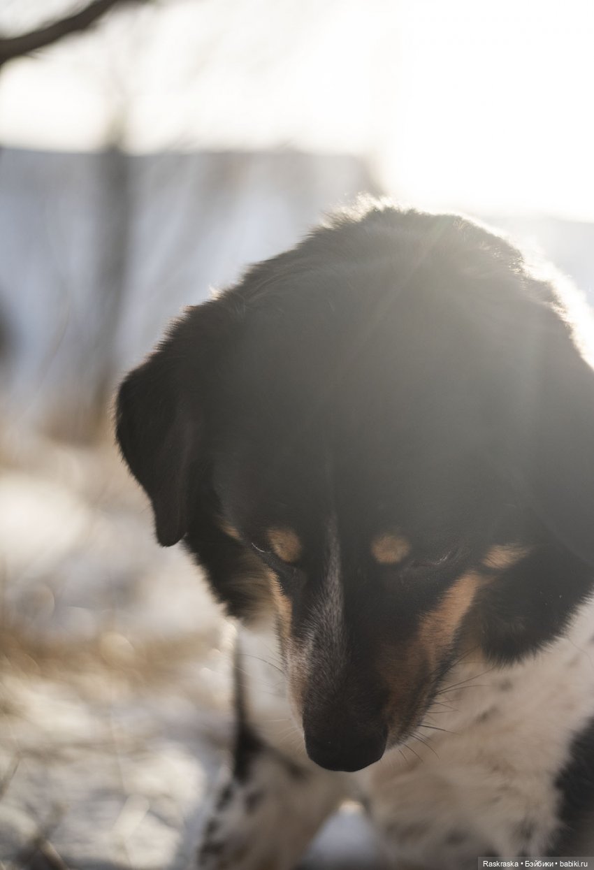 Ледяная Царица всея Исландии ❄️ (часть номер один)