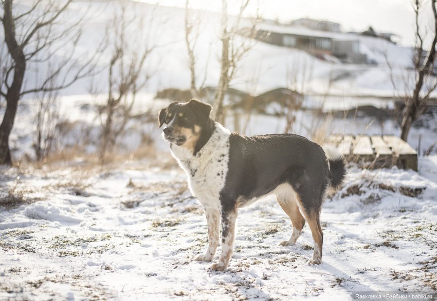 Ледяная Царица всея Исландии ❄️ (часть номер один)