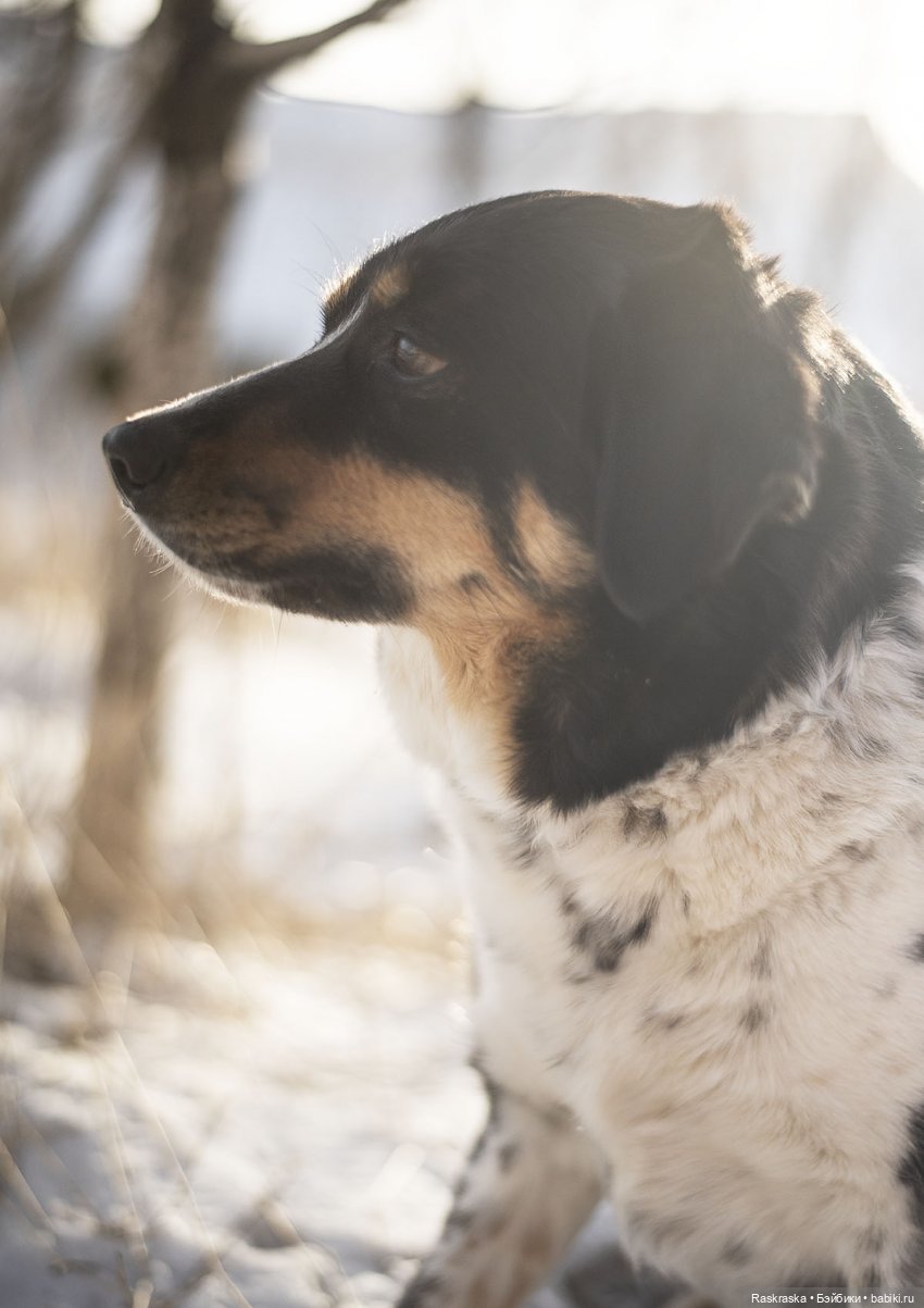 Ледяная Царица всея Исландии ❄️ (часть номер один)