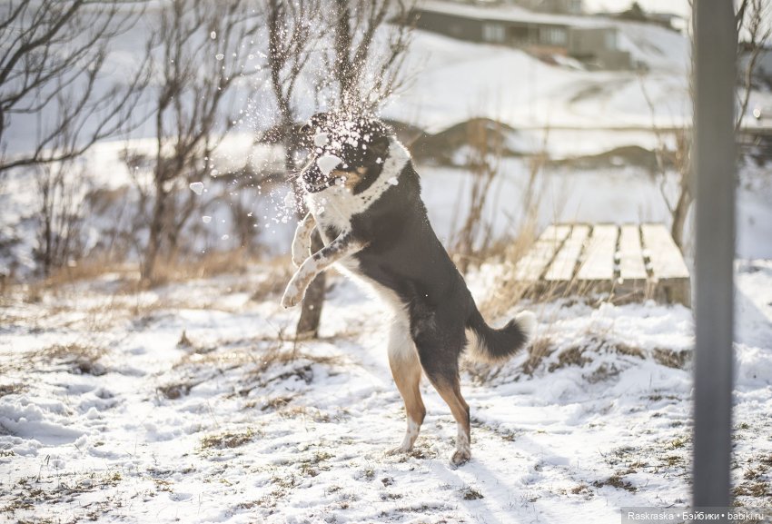 Ледяная Царица всея Исландии ❄️ (часть номер один)