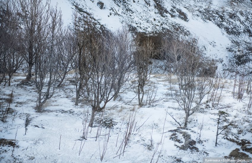 Ледяная Царица всея Исландии ❄️ (часть номер один)