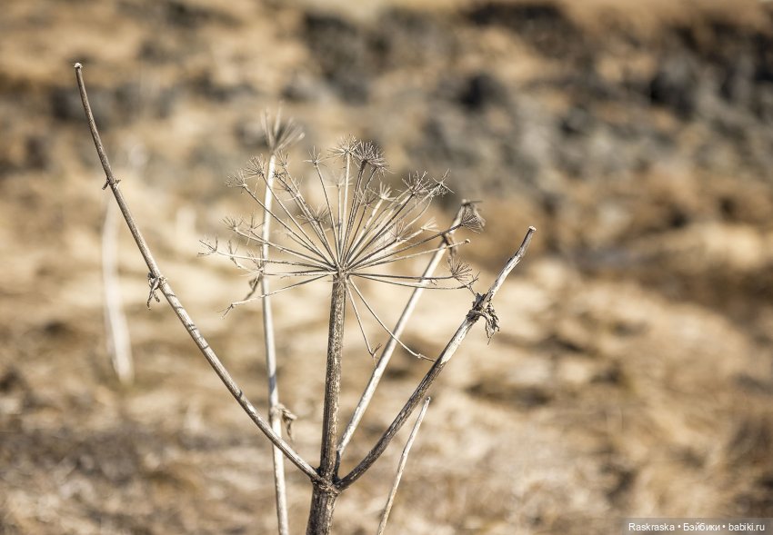 Ледяная Царица всея Исландии ❄️ (часть номер один)