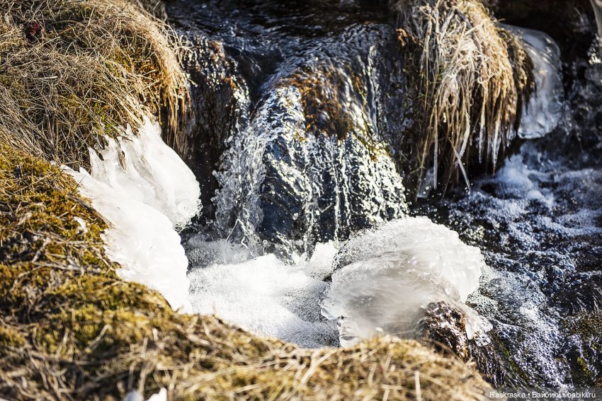 Ледяная Царица всея Исландии ❄️ (часть номер один)