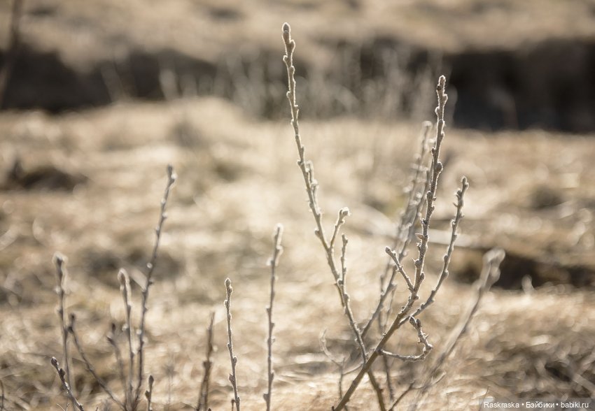 Ледяная Царица всея Исландии ❄️ (часть номер один)