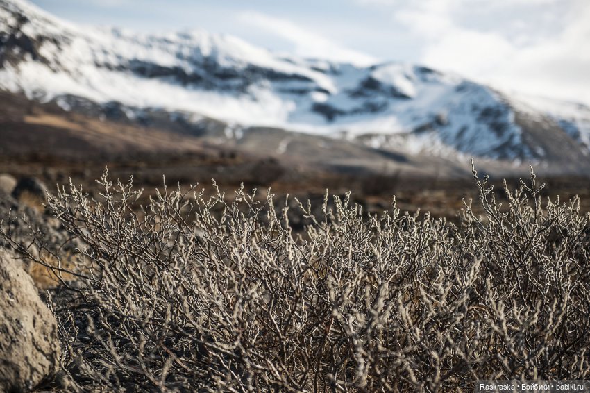 Ледышки бывают разные - прозрачные, огромные и.. грязные:) невероятная Исландия - часть вторая ( про кукол тоже есть:)