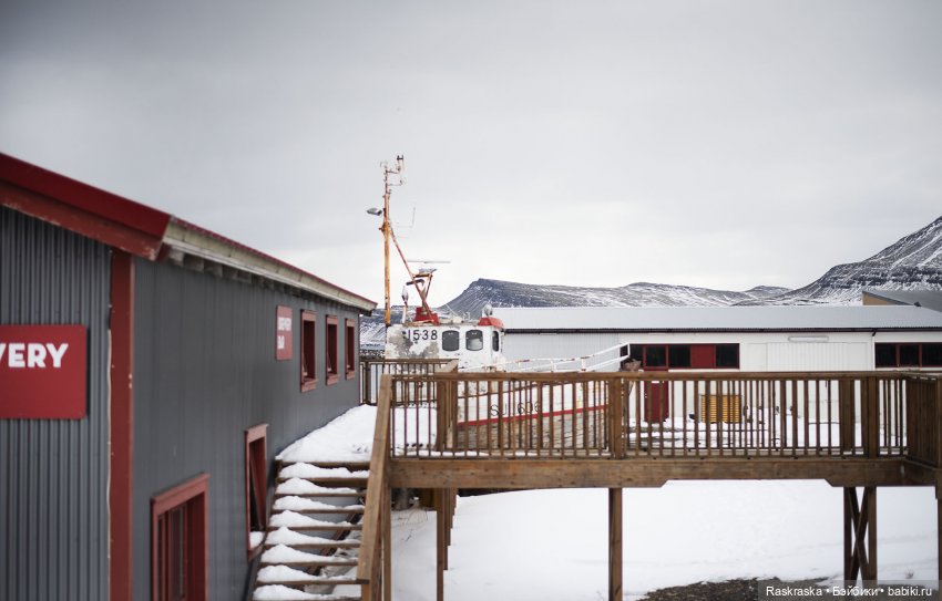 Исландская сага - часть третья и заключительная