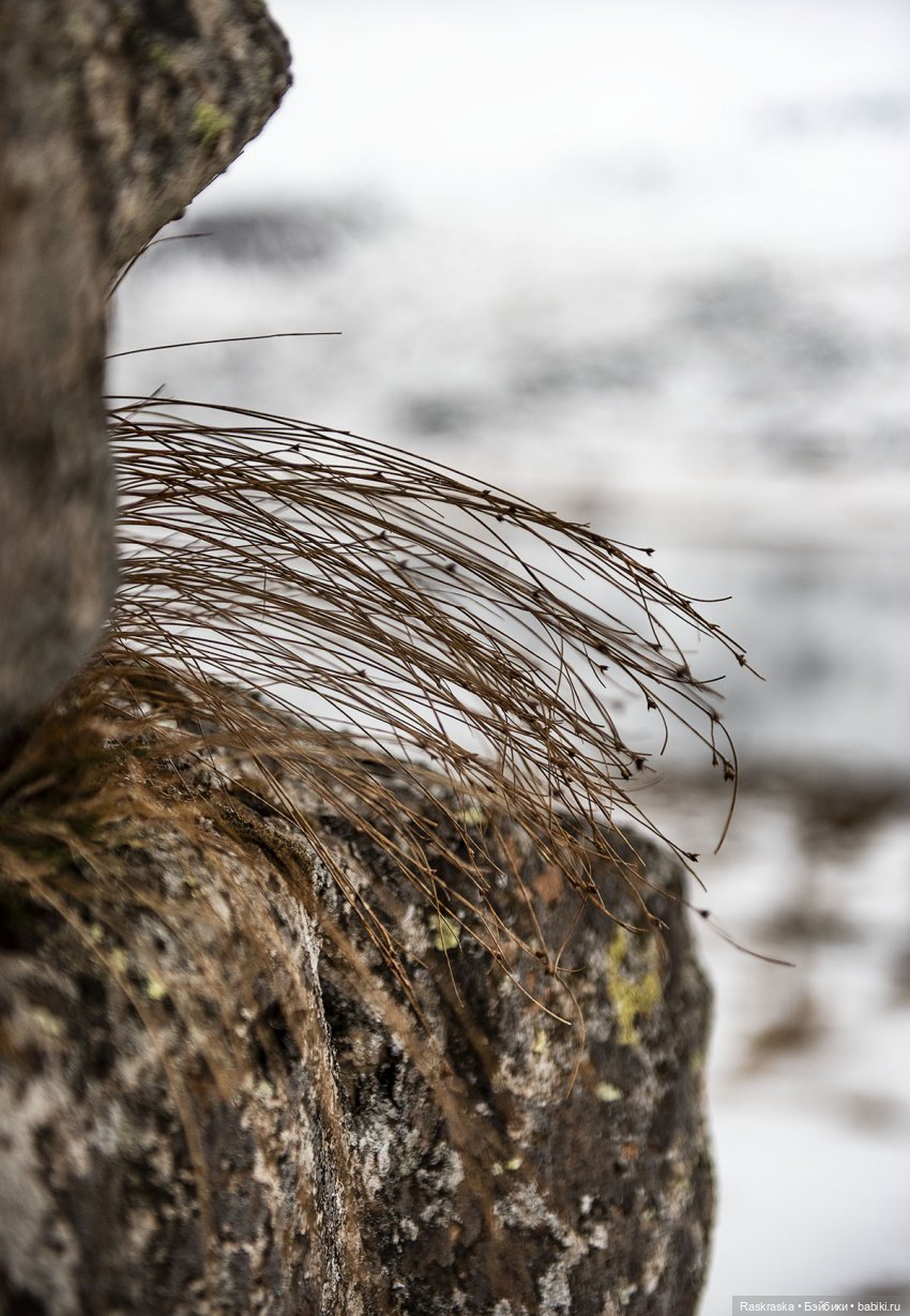 Исландская сага - часть третья и заключительная (фото 4)