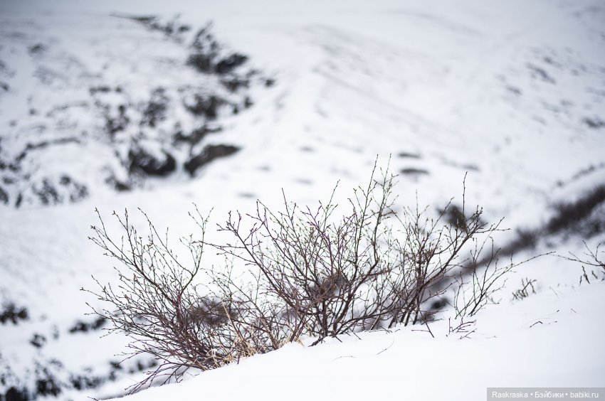 Исландская сага - часть третья и заключительная