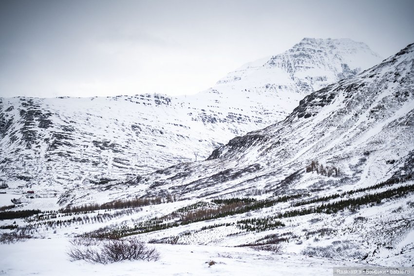 Исландская сага - часть третья и заключительная