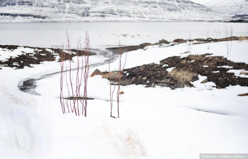 Исландская сага - часть третья и заключительная