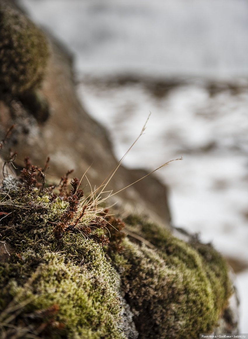 Исландская сага - часть третья и заключительная (фото 10)