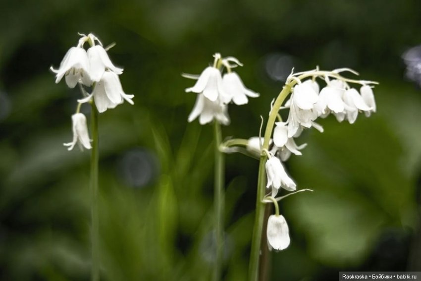 Та, да не та. Или не нужно себя уговаривать (фото 7)