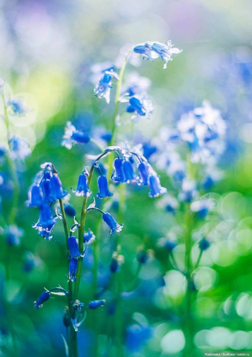 Та, да не та. Или не нужно себя уговаривать (фото 10)