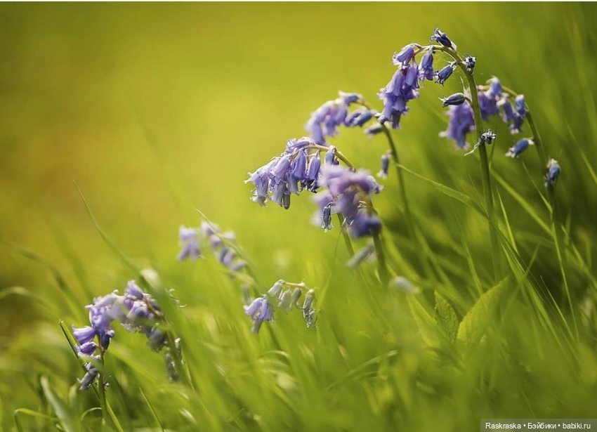 Та, да не та. Или не нужно себя уговаривать (фото 2)